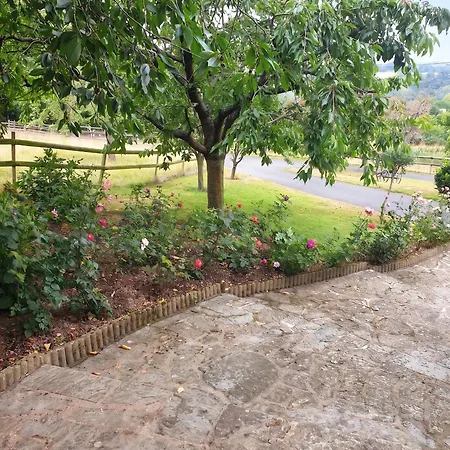 Casa vacanze Maison Chaleureuse à Saint-remy Avec Jardin Enchanteur *