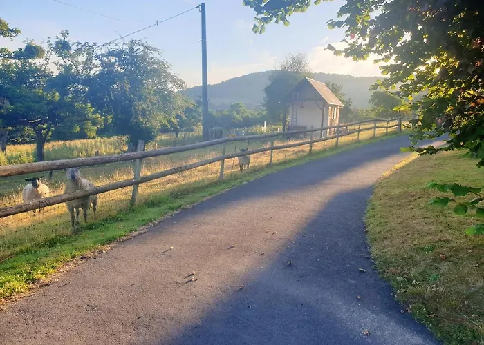 度假居 Maison Chaleureuse A Saint-remy Avec Jardin Enchanteur